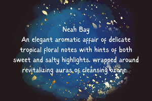 Air Freshy - ButteredSoapery