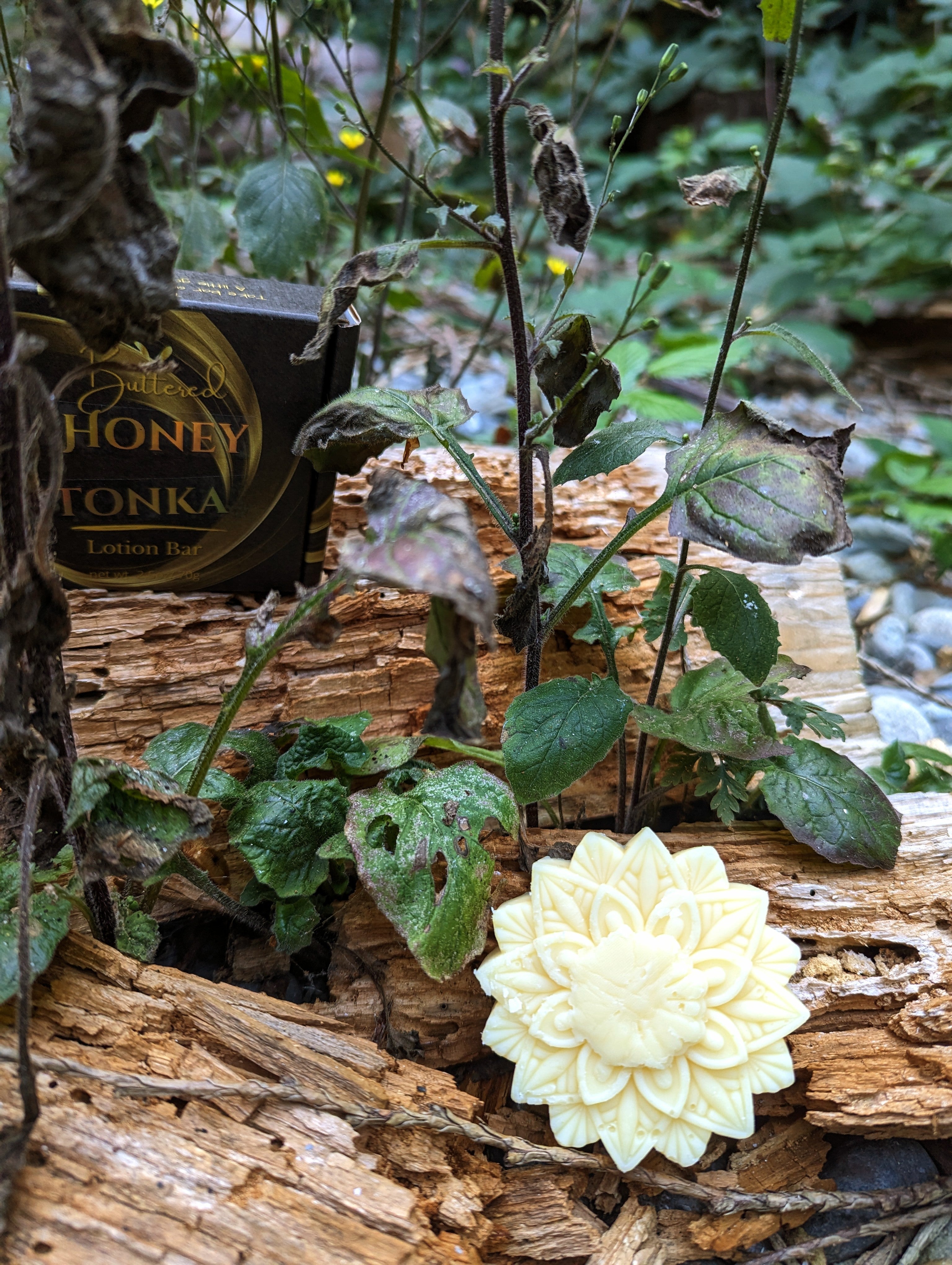 Lotion bar - ButteredSoapery