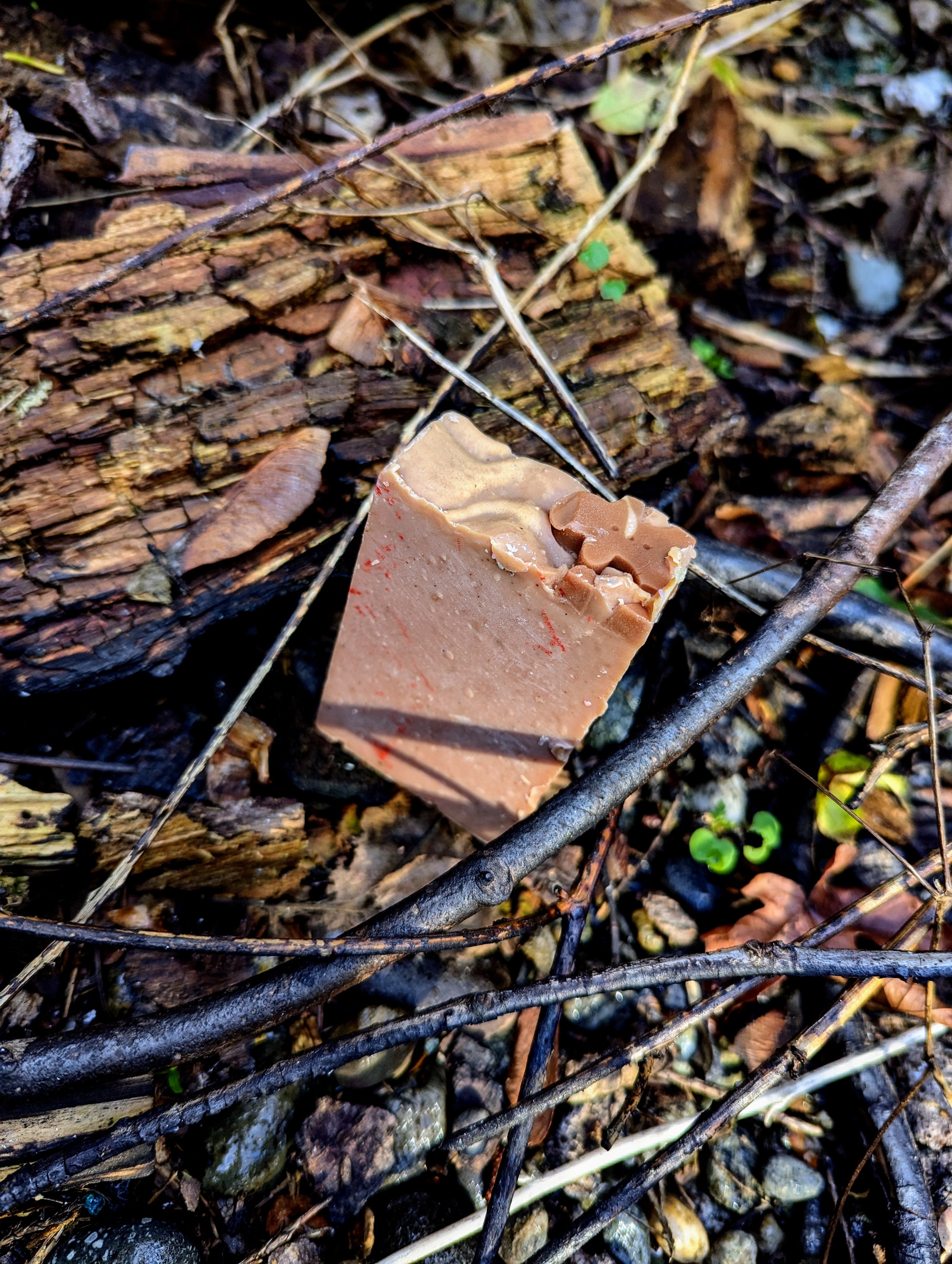 Spiced Ginger - ButteredSoapery