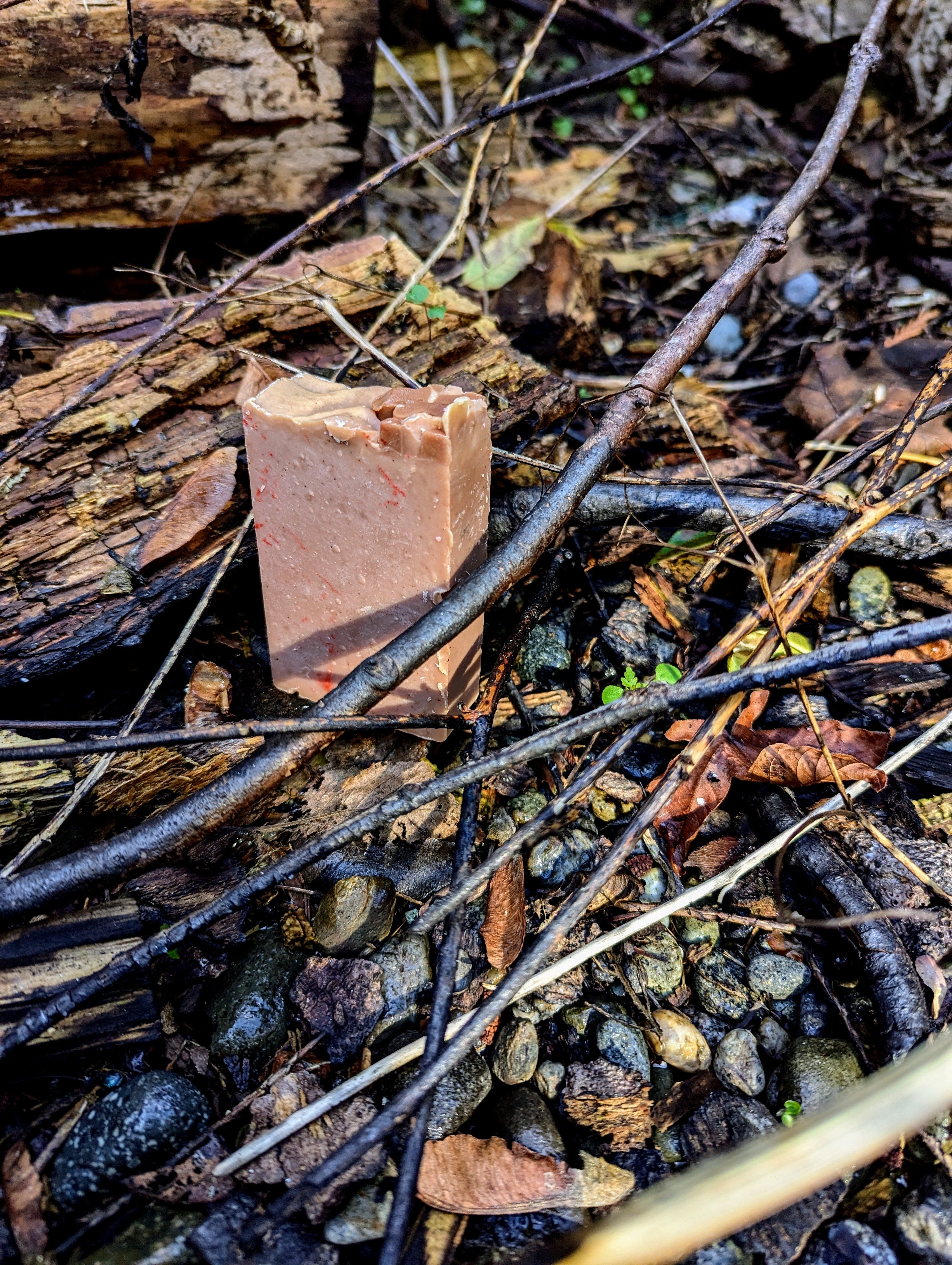 Spiced Ginger - ButteredSoapery