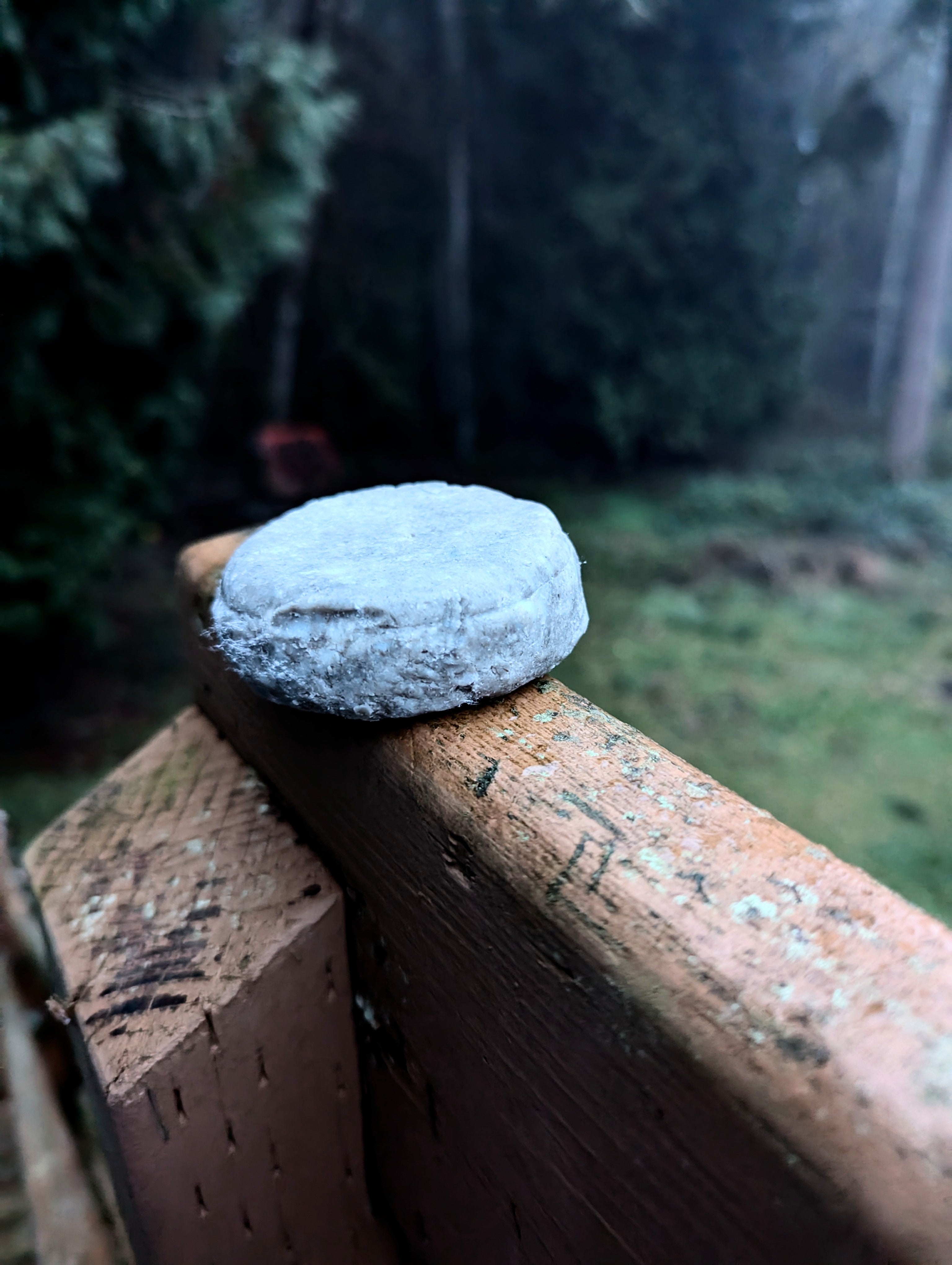 Sulfur & Peppermint Tallow Cleansing bar - ButteredSoapery