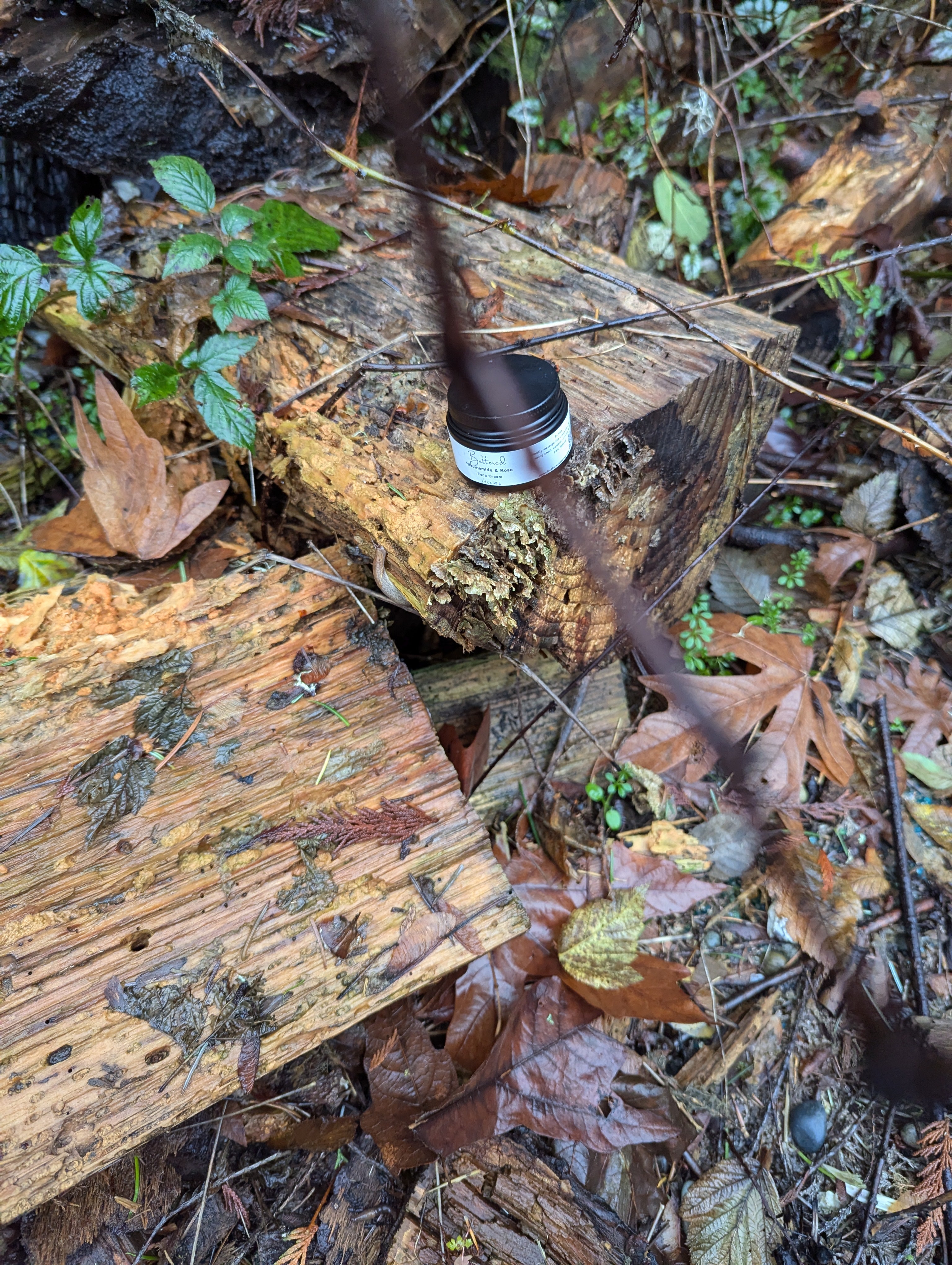 Whipped Tallow and Frankincense balm 1 oz - ButteredSoapery