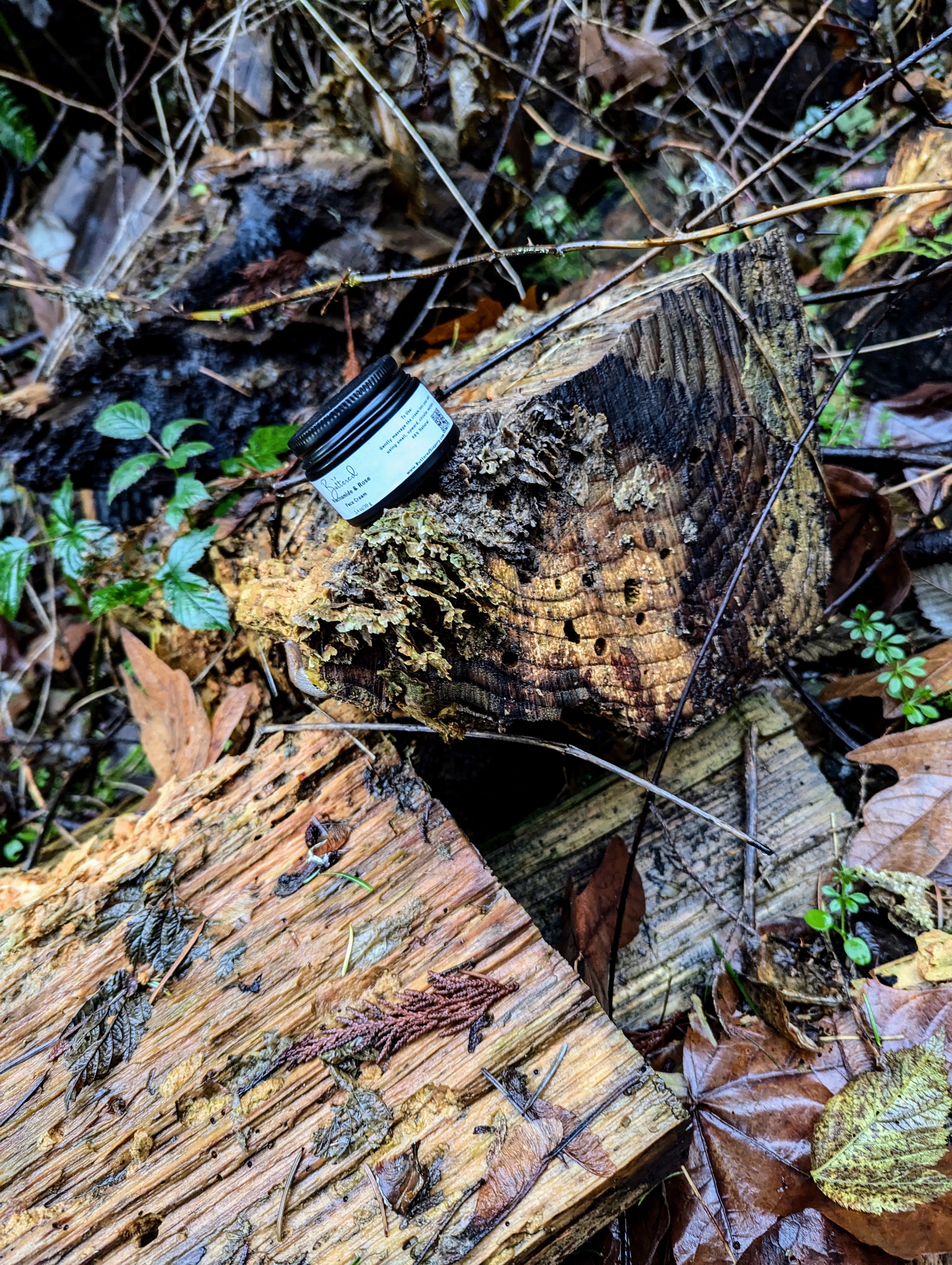Whipped Tallow and Frankincense balm 1 oz - ButteredSoapery