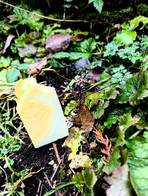 Lime in the Coconut Lard bar soap - ButteredSoapery
