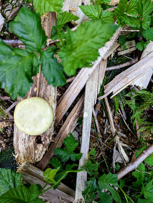 Rosemary Mint Conditioner bar - ButteredSoapery