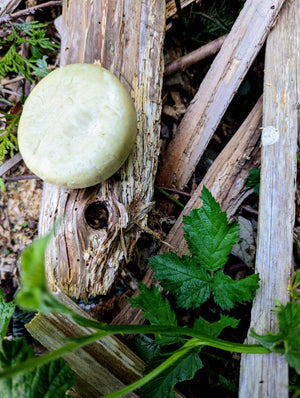 Lavender Vetiver Conditioner Bar - ButteredSoapery