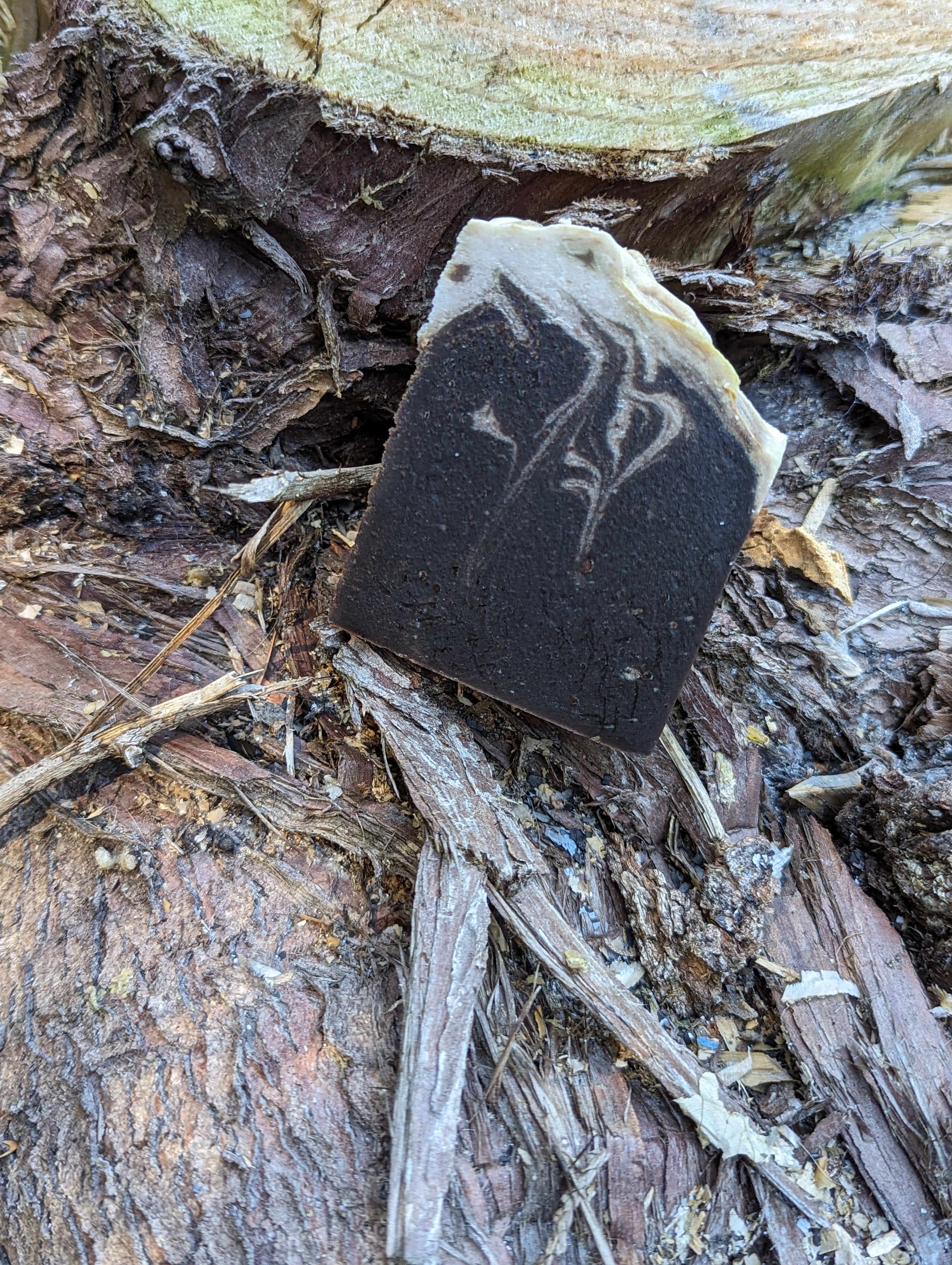 Cardamom and Cream Goat Milk Lard Soap - ButteredSoapery