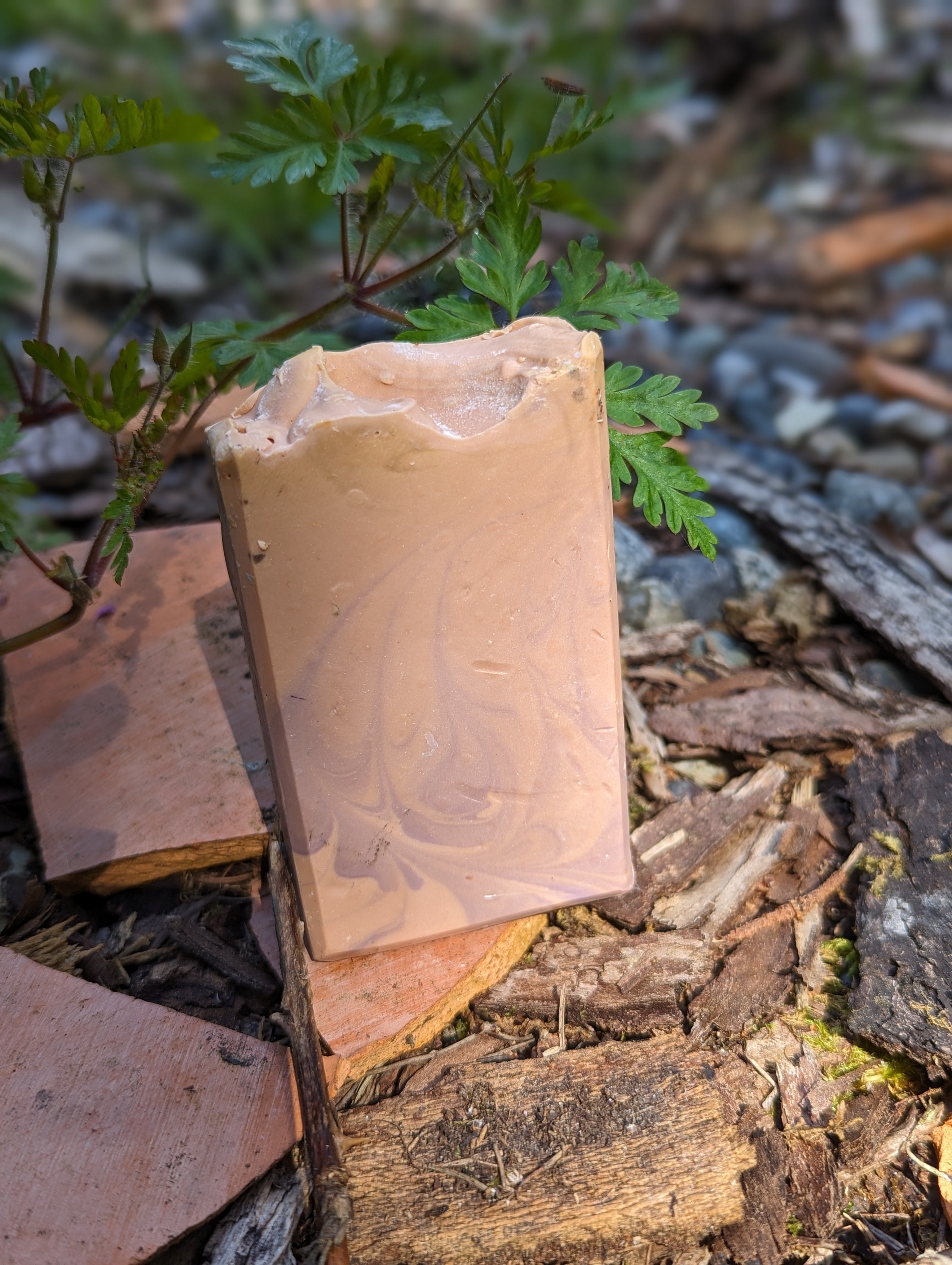Bitch Lard Soap