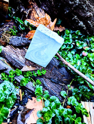 Juniper and Pine Goat Milk Lard Soap - ButteredSoapery