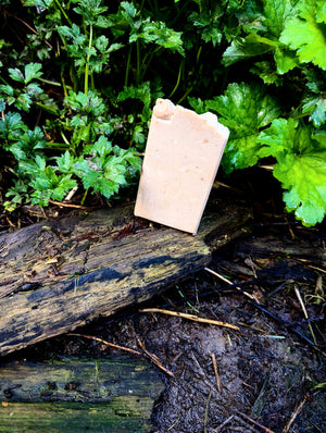Orange Clove Lard Soap - ButteredSoapery