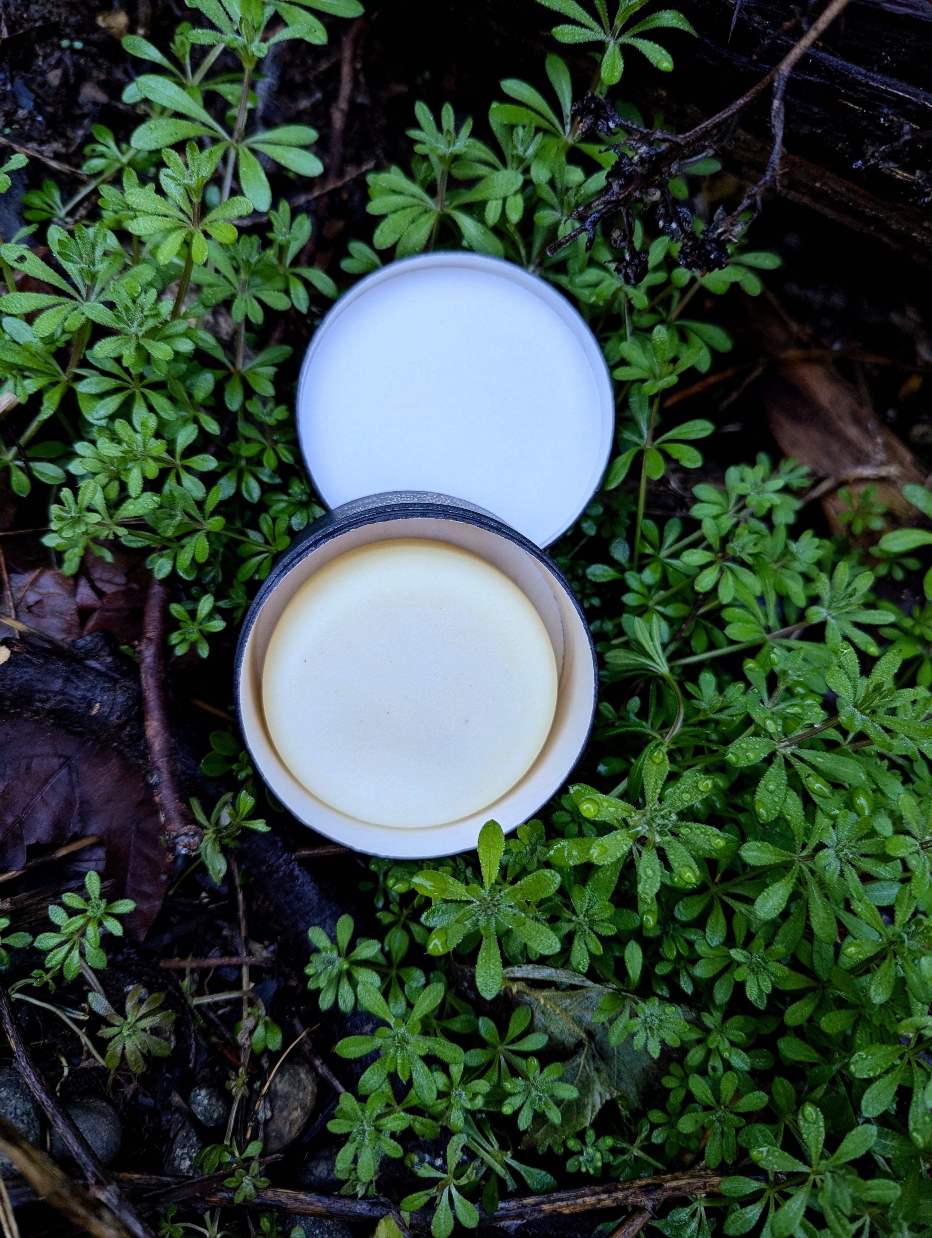 Goat Milk Unscented Conditioner Bar - ButteredSoapery