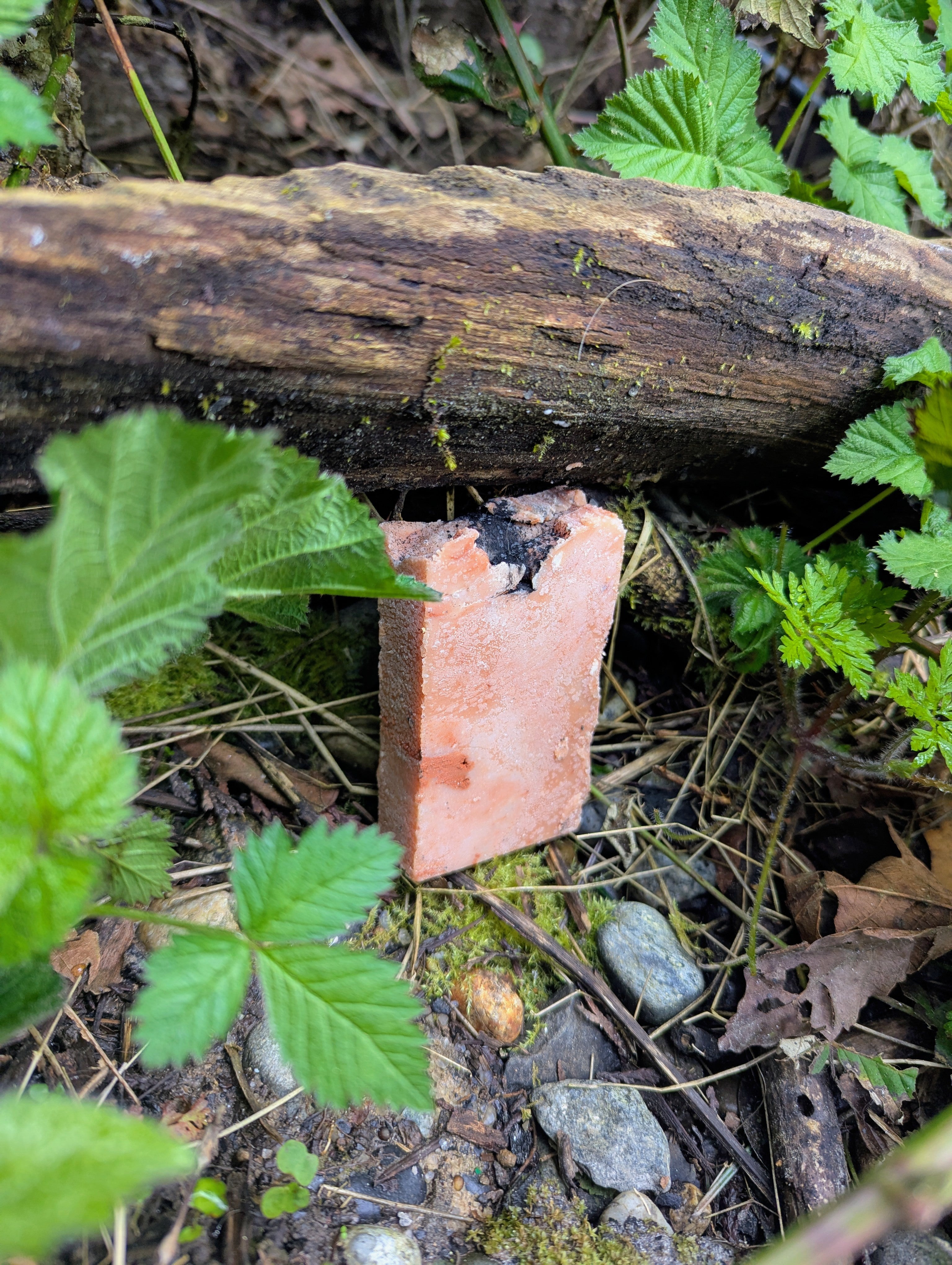 Babylon Vegan soap