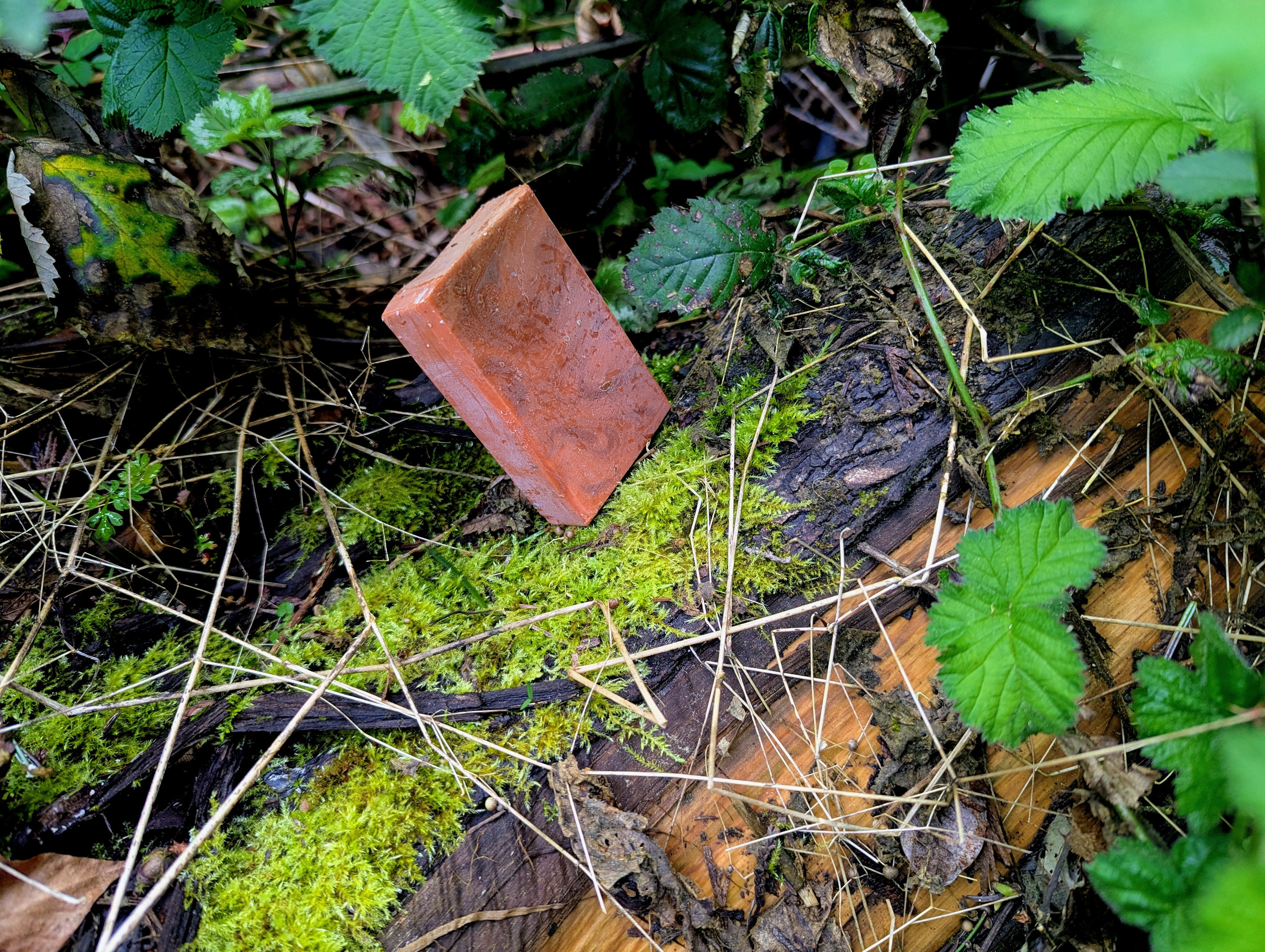 Tiger's Eye Recycled Lard Bar Soap