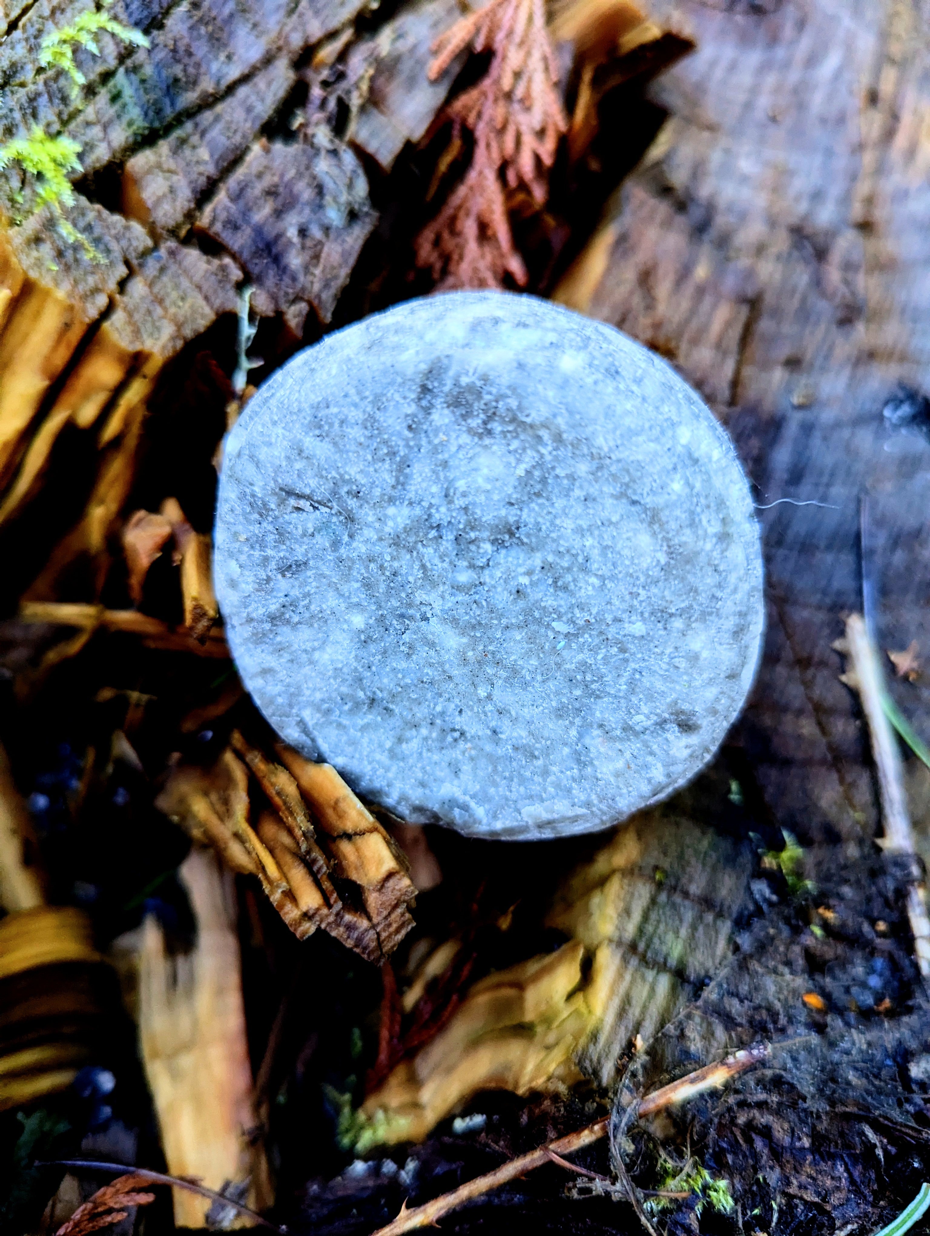 Charcoal and Tea Tree Tallow Bar