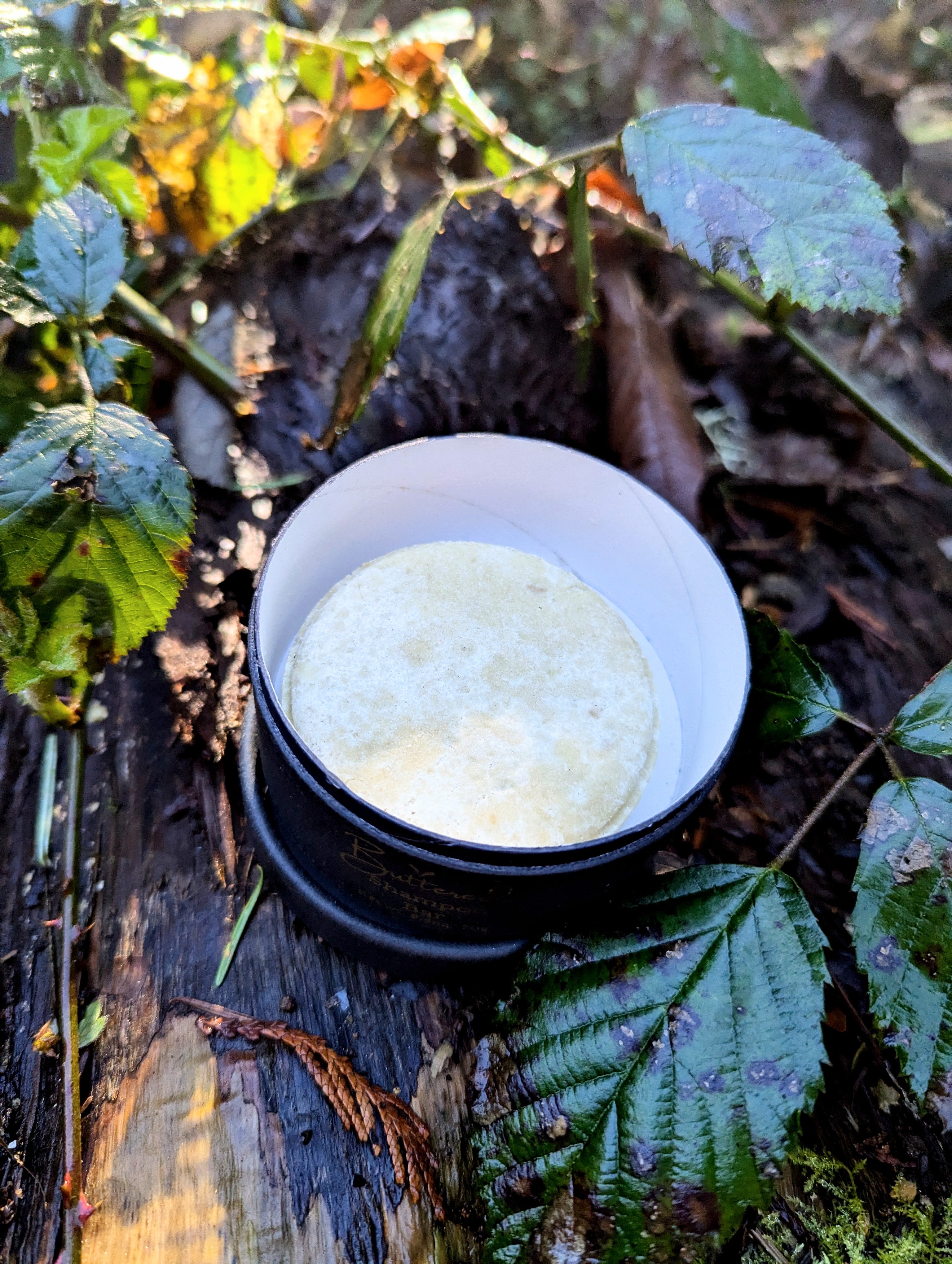 Goat Milk Unscented Shampoo Bar - ButteredSoapery