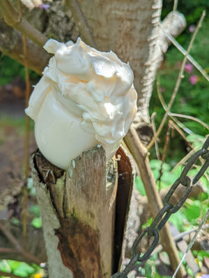Pick Your Scent Body Yogurt - ButteredSoapery