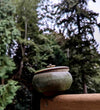 Whipped Tallow and Honey Balm in Pottery Jar