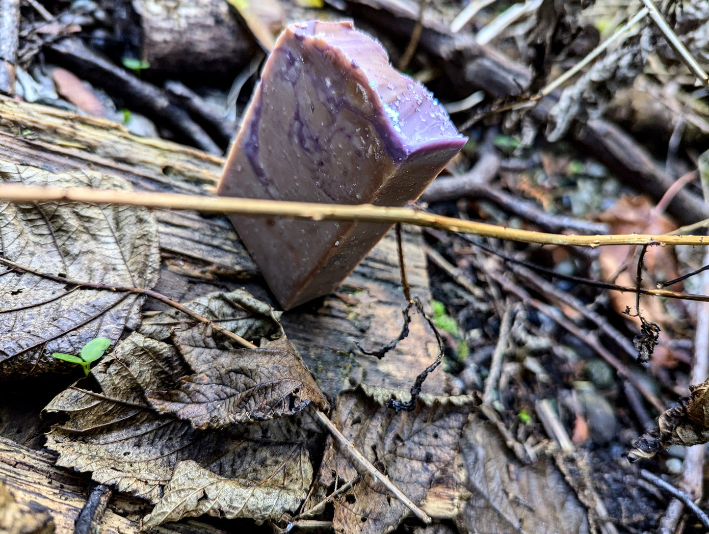 Harvest Fig