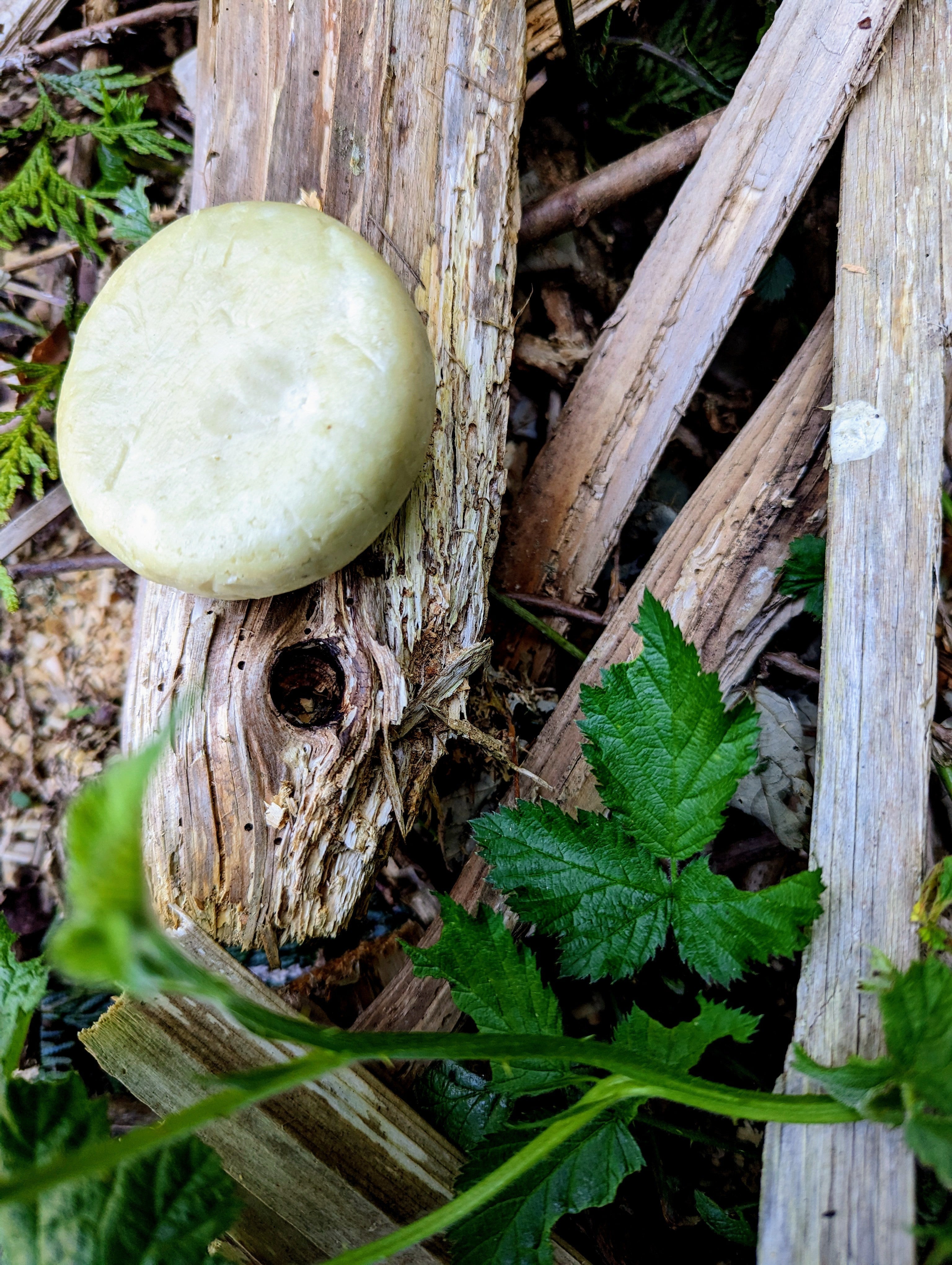 Suntan Conditioner Bar