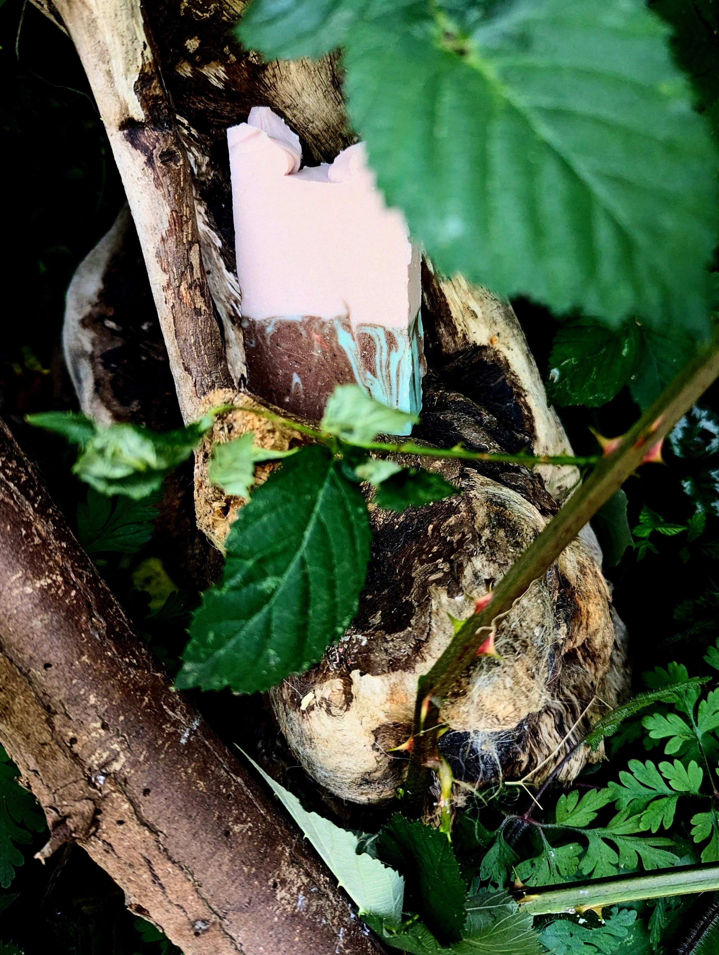 Thorns Lard Bar Soap