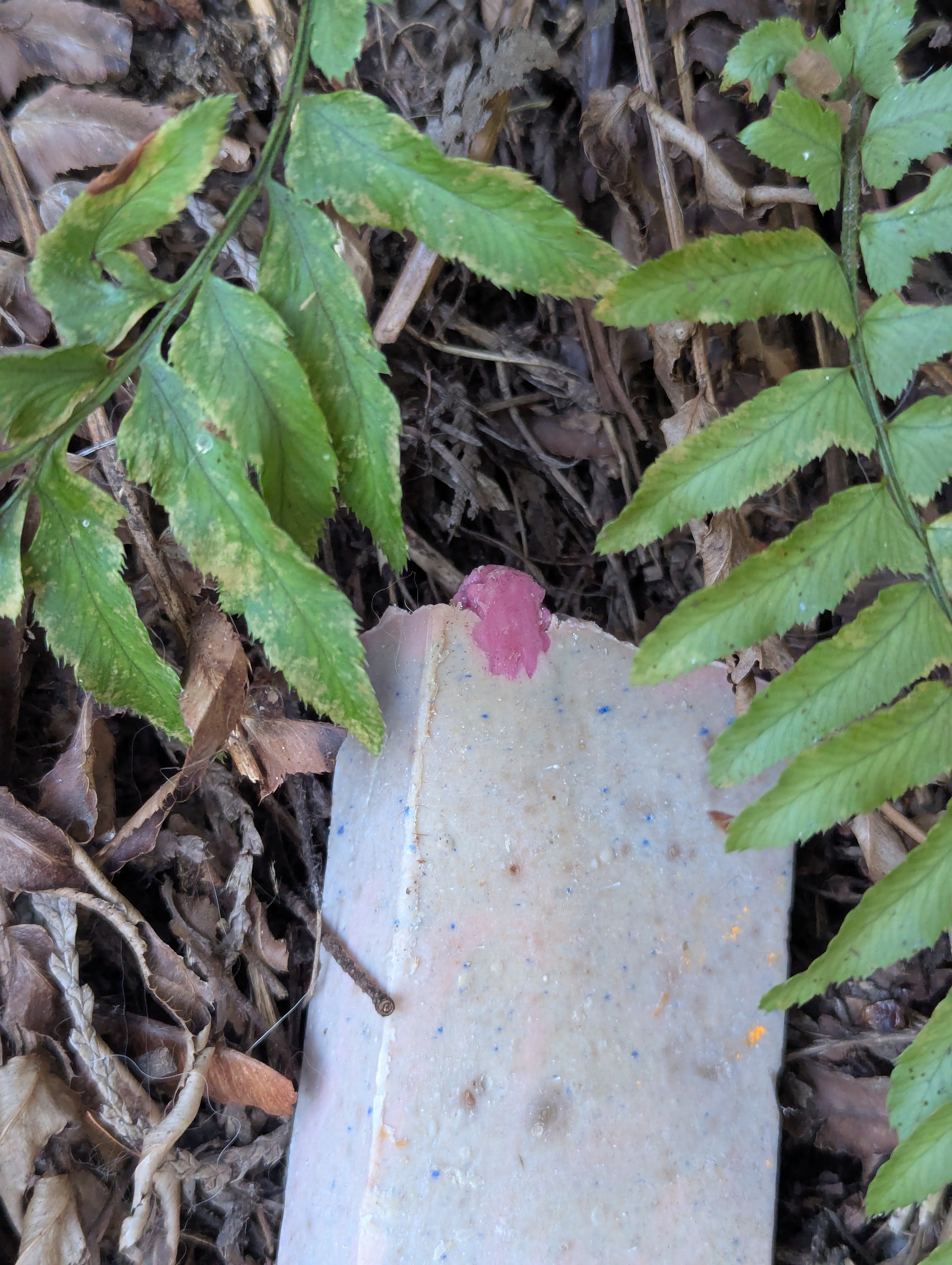Blueberry and Lychee Lard Bar Soap