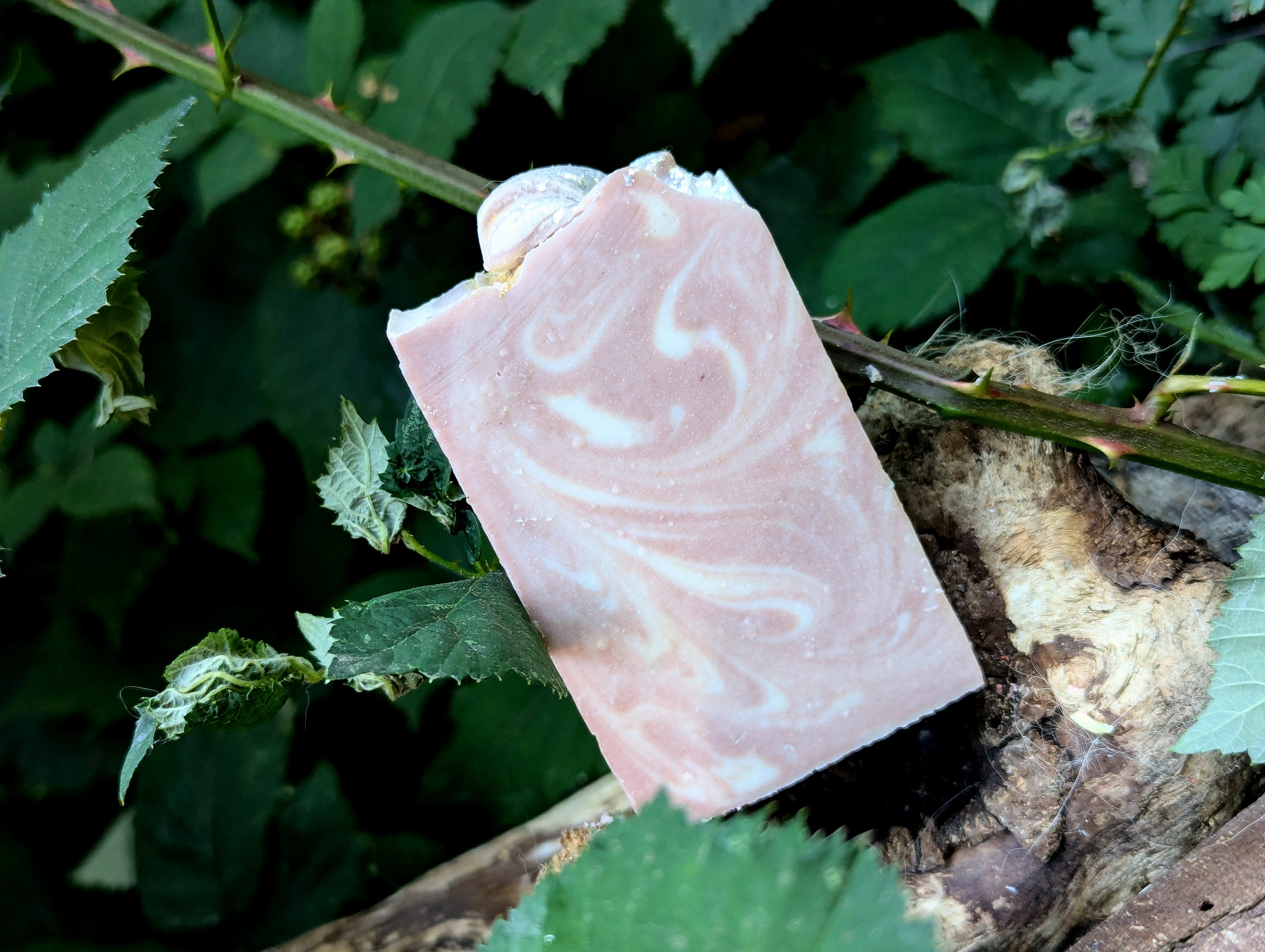 Sacred Lotus