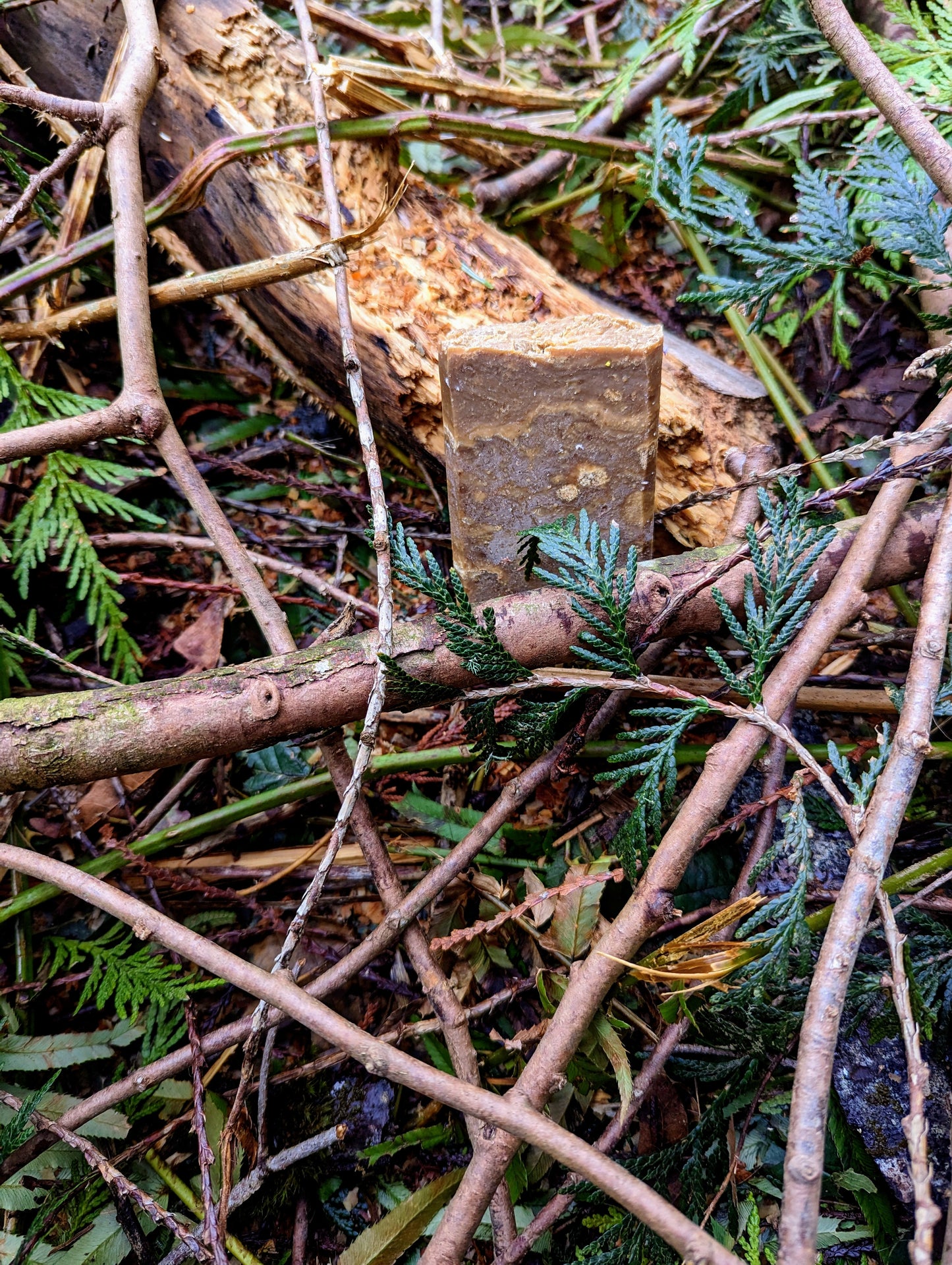 Pine Tar essential oil specialty soap